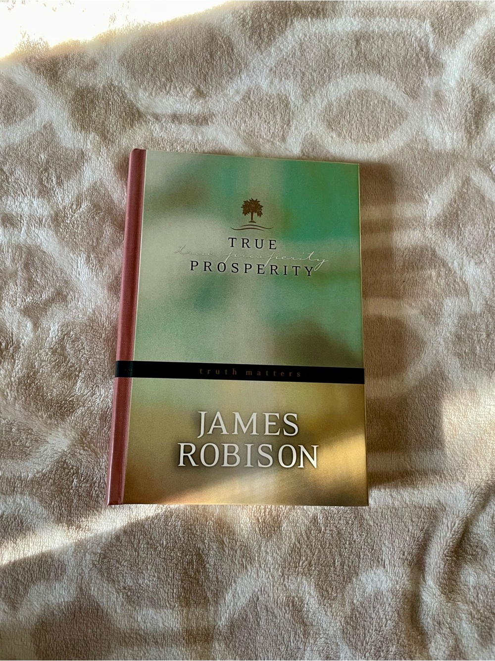 True Prosperity by James Robison - Hardcover Book in Green and Gold